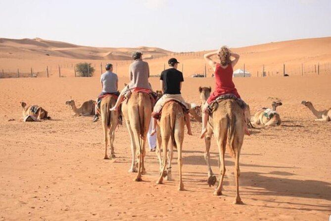 7-8 Hours Private Desert Adventure Trip With Activities - Booking and Pricing