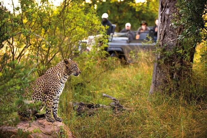 7-Day Cape Town and Karongwe Private Safari Package - Accommodation Details