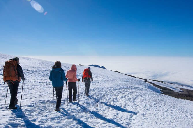 7 Day New Years Eve Summit Trek Kilimanjaro via Lemosho Route