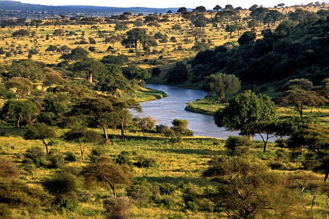 7 Day Tanzania Camping Safari Experience