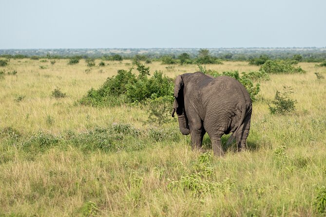 7 Days Gorilla and Chimpanzee Safari in Uganda - Practical Information
