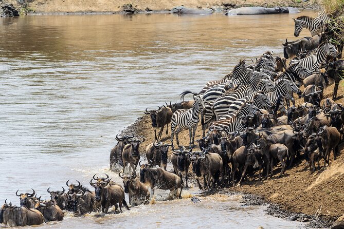 7 Days Northern Park Adventure From Arusha