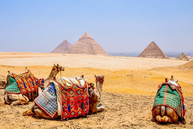 7-Days Tour Cairo,Aswan,Luxor, and Nile Cruise Camel Ride, With Domestic Flights - Accommodation Details