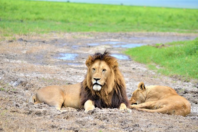 8 Day Green Season&The Great Migration - Itinerary Highlights