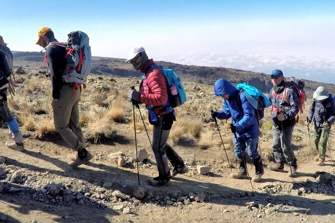 8 Days Mt Kilimanjaro Climb - Lemosho Route - Meeting and Pickup Information