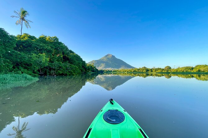 Afternoon Guided Kayak Tour on the Tamarin River - Maximum Travelers and Price