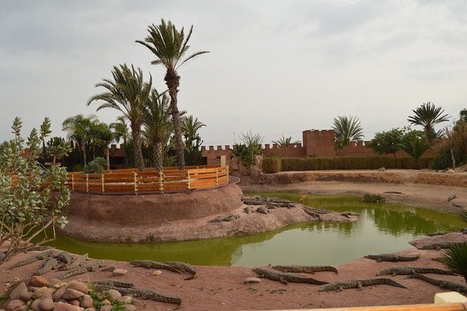 Agadir Crocoparc & Visite Souk Lhad Agadir Ticket Included - Additional Details