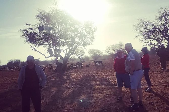 Agadir Day Trip to ​Taroudant & Tiout