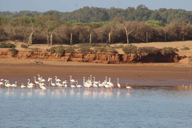 Agadir Desert Safari Day Tour With Lunch - Tour Location