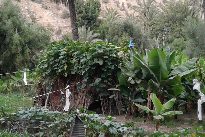 Agadir/Taghazoute : Paradise Valley Tour & Riverside Lunch - Paradise Valley Exploration