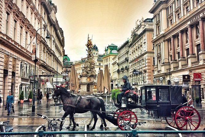 Airport Transfer: Vienna to Vienna Airport VIE by Luxury Car - Additional Information