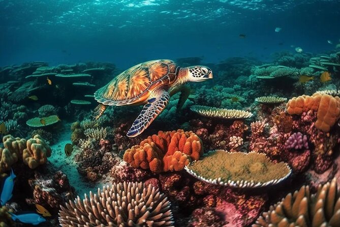Alanya Scuba Diving Tour - Directions