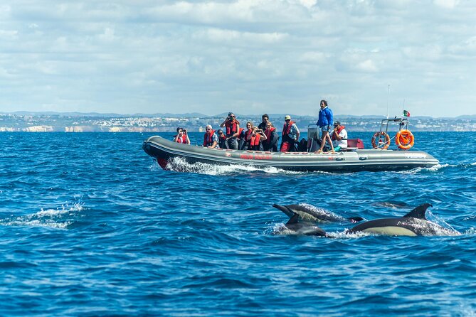 Albufeira 2 Hour 30 Minute Private Dolphin and Benagil Caves Tour - End Point Information