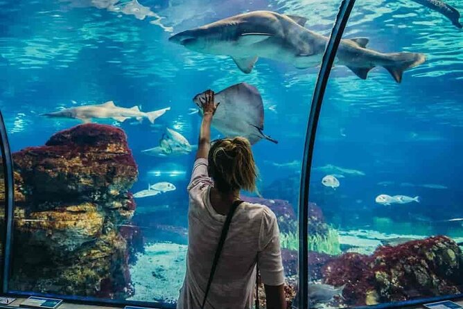Amazing Tour To Grand Aquarium Hurghada With Transfer In Hughada - Booking Process