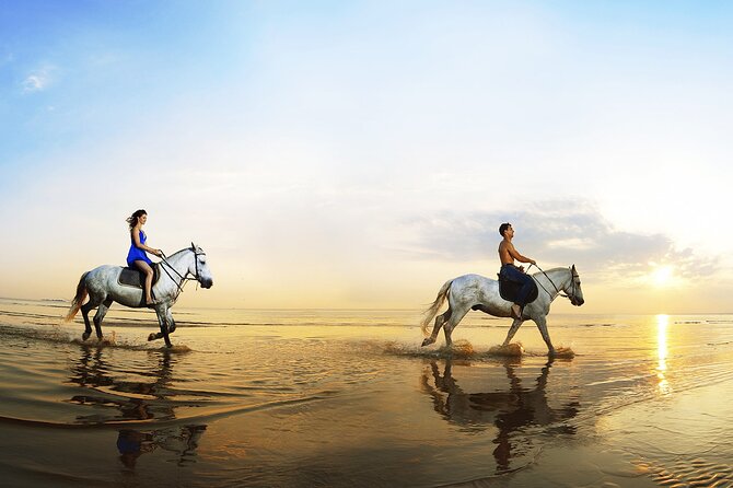 Antalya Horse Riding Forest and Beach - Review Information