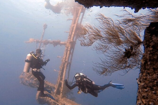 Aqaba Private Scuba Diving Activity With Pick up - Inclusions and Start Time
