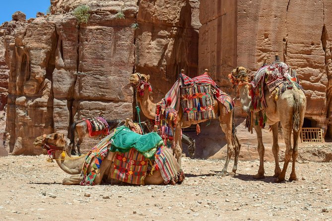 Aqaba Shore Excursion: Private Petra Sightseeing Tour With Lunch - Tour Details
