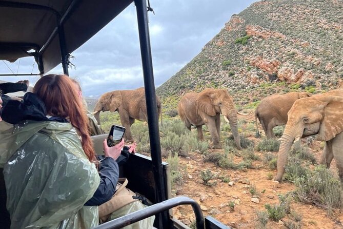 Aquila Game Reserve and Game Drive From Cape Town