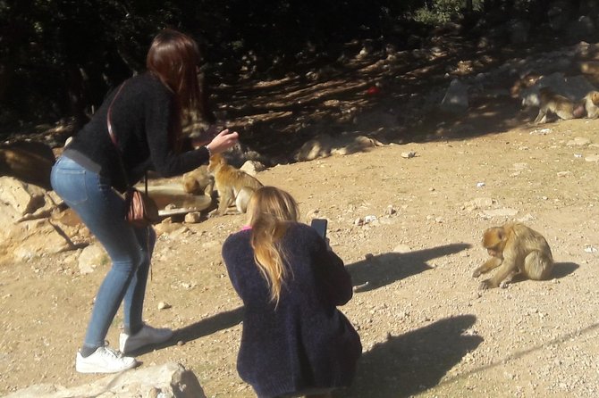 Atlas Mountains, Morocco: Ifrane, Azrou, Monkey Forest, Full Day Tour From Fez - Customer Reviews