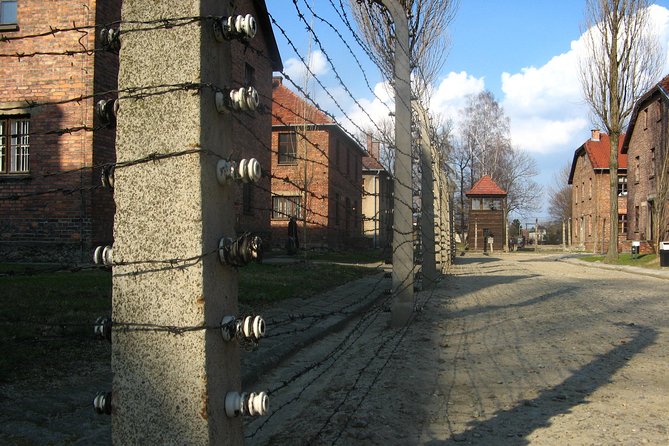 Auschwitz - Birkenau Museum Private Transfer - Round Trip - Museum Visit Information