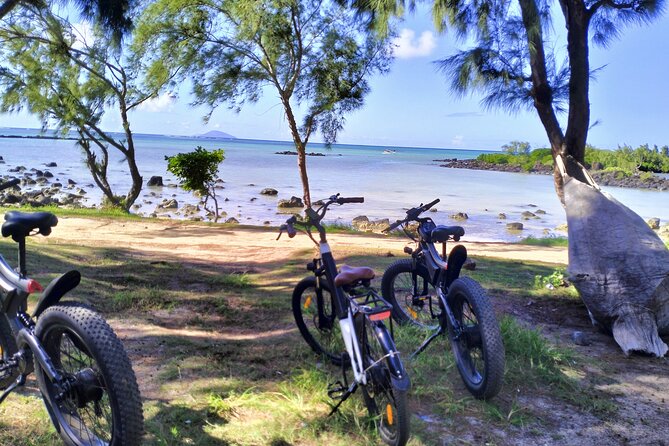 Authentic North East Coast E-bikes Guided Tour - The Sum Up