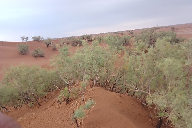 Best Experience the 3 Biggest Sand Dunes: 4 Days - The Sum Up