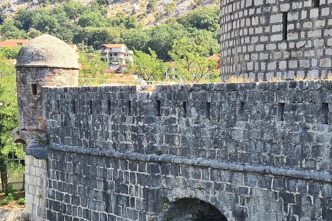 Blue Sea and Black Mountains (Montenegro) - Cancellation Policy