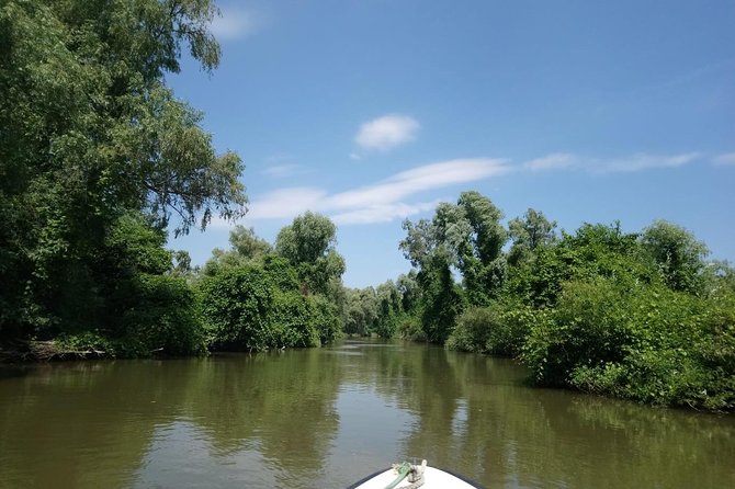 Boat Excursion in the Danube Delta, With Terrace and Closed Hall. - Indoor and Outdoor Areas Available