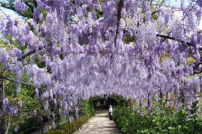 Boboli Garden and Guided City Walking Tour in Florence - Tour Details