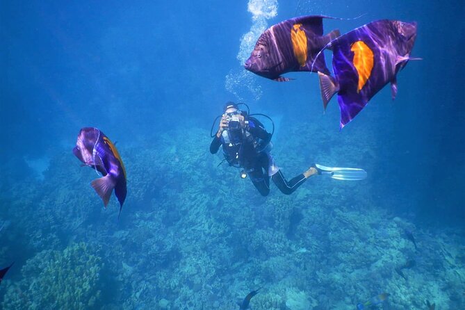 Cairo, Luxor and Hurghada Package - Travel Itinerary