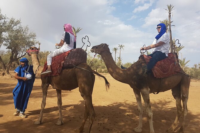 Camel Ride Experience in the Desert of Marrakech - Meeting and Pickup