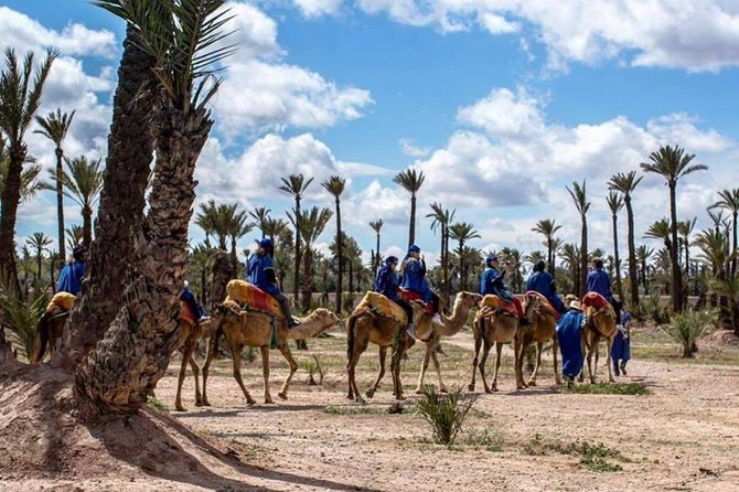 Camel Ride in Marrakech Palm Grove - Tour Details