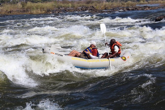 Canoeing With Wildlife Sightings - Wildlife Encounter Opportunities