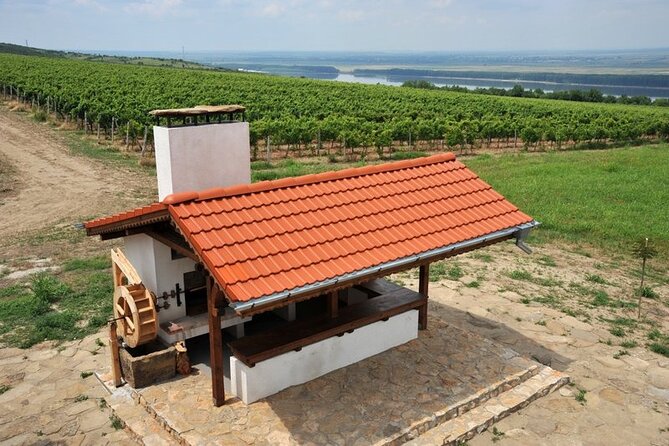 Chateau Burgozone Wine Tasting and Enchanting Danube River View - Schedule and Operating Hours