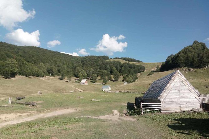 Cheese Farm Tour in the Katun - Customer Reviews