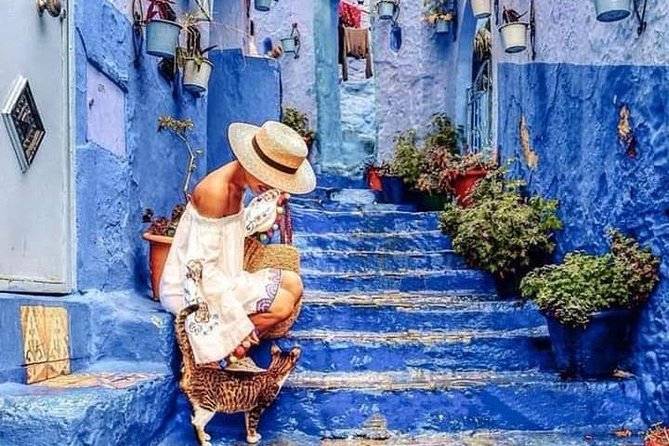 Chefchaouen Day Trip! The Blue Pearl - The Sum Up