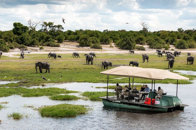 Chobe Day Trip Ex Livingstone / Victoria Falls - Highlights