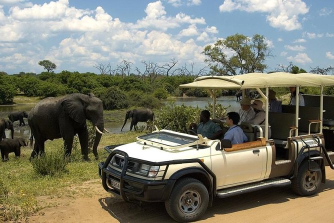 Chobe Full Day Trip - The Sum Up