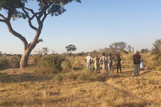 Chobe Safari Day Trip From Victoria Falls- Small Group - Pickup and Transportation