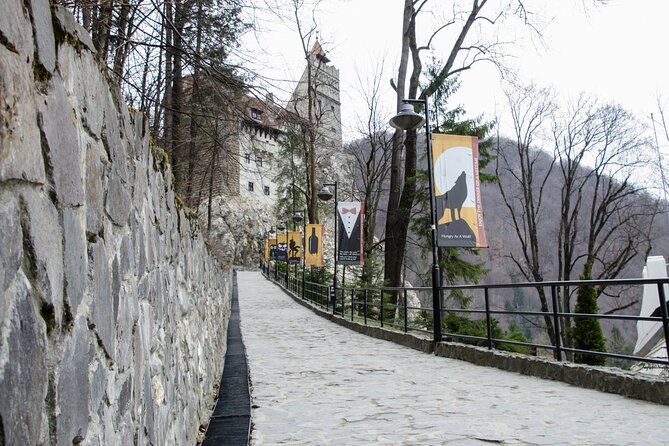 Day Trip Bear Sanctuary, Bran Castle, Rasnov Fortress From Brasov - Pickup Information