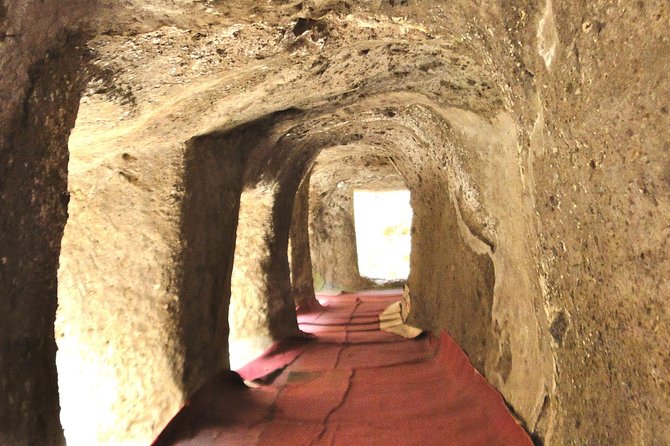 Day Trip to Adadi Mariyam, Tiya and Melka Kunture - Reviews