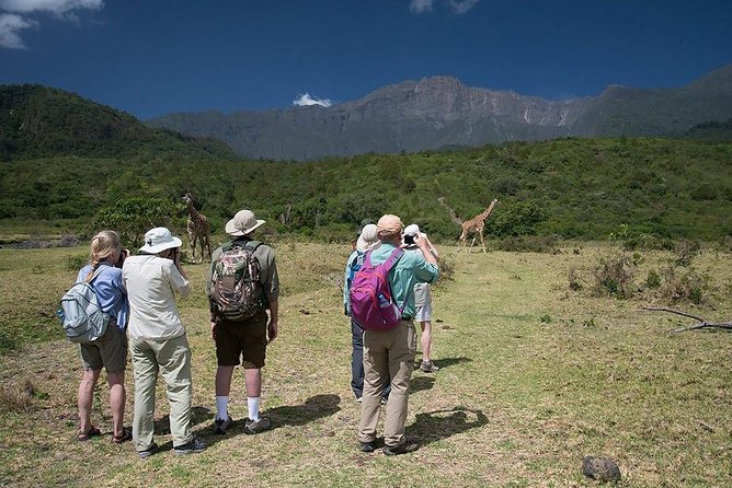 Day Trip Tour to Arusha National Park - Pickup Information