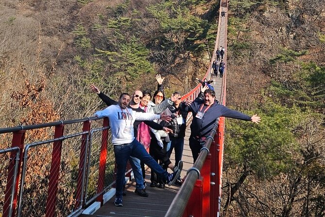 DMZ Tour: 3rd Tunnel From Seoul (Option: Red Suspension Bridge) - Pandemic Guidelines