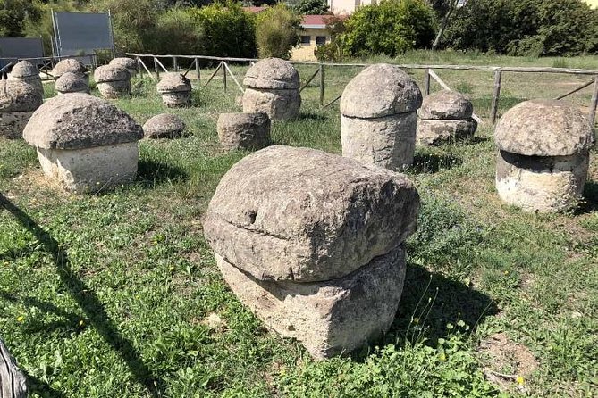 Etruscan Mystery With Driver - Private Shore Excursion for Cruisers - Itinerary Overview