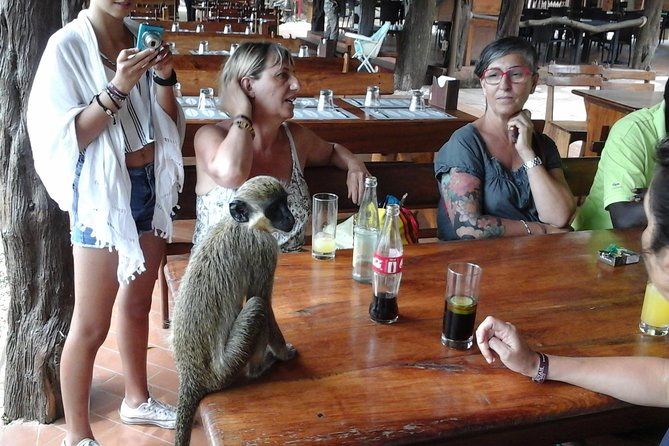 Experience Dakar-Goree-Pink Lake-Safari Tour in 2 Days - What to Expect