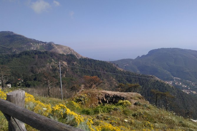 Faito Trek Tour, Cable Car Excursion and Scenic Trails - Physical Requirements