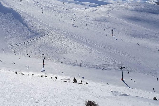 Faraya Ski Resort Lebanon - Frequently Asked Questions