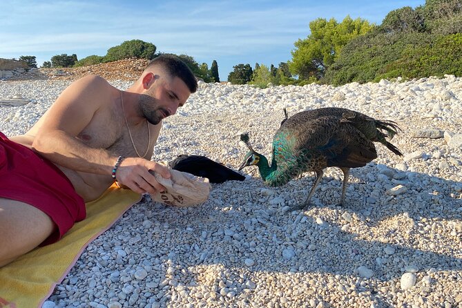 Fazana: (Lunch) Brijuni Islands Cruise & Visit Peacock Island - Frequently Asked Questions