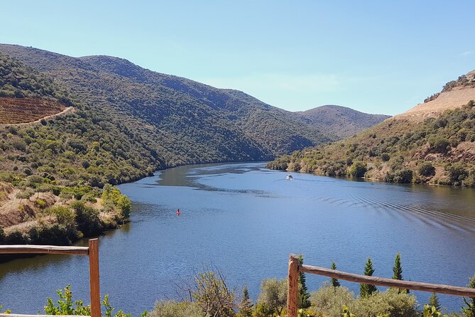 Feel Douro Tour - Frequently Asked Questions
