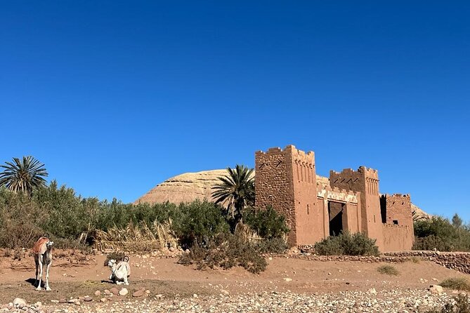 From Fes to Marrakech: 4 Day Group Tour via the Desert Merzouga - The Sum Up